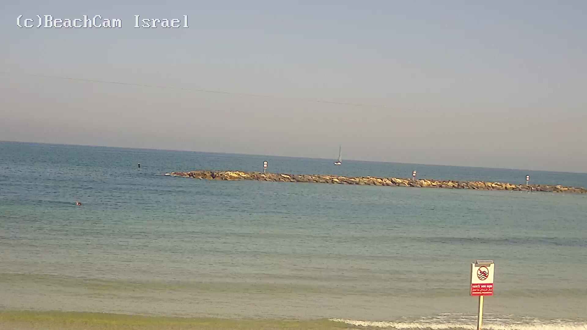 Dolfinarium Aviv Beach